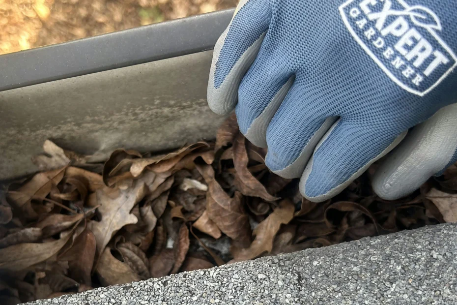 Gutter Cleaning Fort Lee