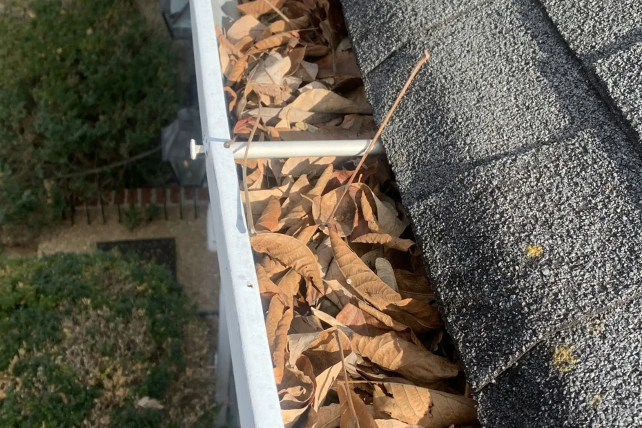 Gutter Cleaning Fort Lee