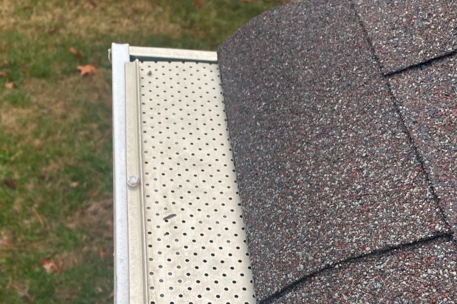 Gutter Cleaning Fort Lee